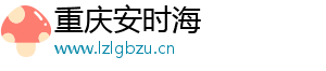 重庆安时海电子商务有限公司