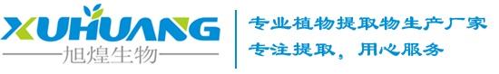 首页