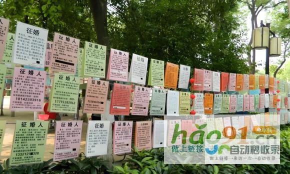 寻缘相亲角：助力爱之花绽放，1月喜讯频传