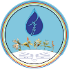 首页