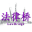 上海私募基金律师