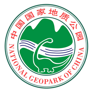 首页