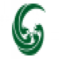 ico