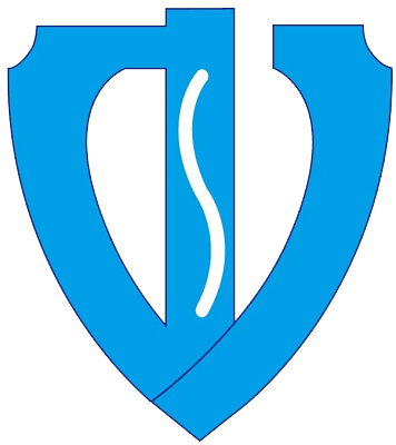 ico