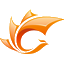 ico
