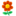 鲜花网,<font color='#ff7200'>网上订花</font>,全国连锁鲜花店送花上门,麻辣烫鲜花网