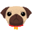 Pug