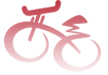 首页