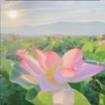 深芝