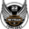SkyTeam