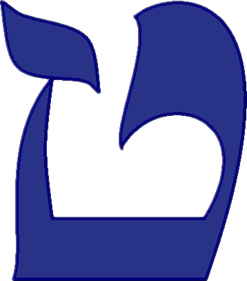 首页