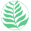 银蕨教育集团