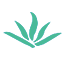 妮姆芙系统