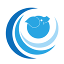 ico