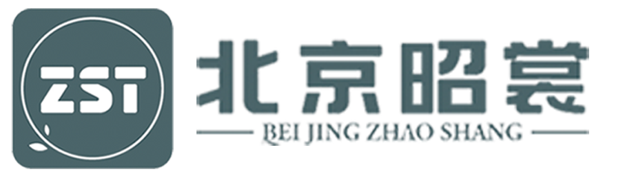 Zstin