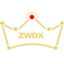 安徽紫薇帝星数字科技有限公司