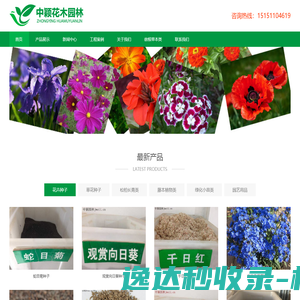 DEE防外挂登录器