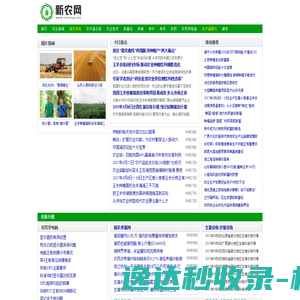 大理世内桃源官网