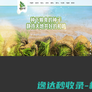 飞扬旅游网