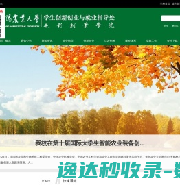 学生创新创业与就业指导处