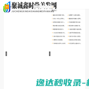 大中华软件公司网站