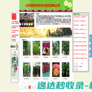 北京绿植租摆,北京花卉租赁,北京绿植送货 北京绿植租摆,北京花卉租赁,北京绿植送货