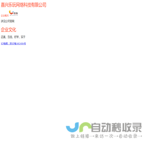嘉兴乐玩网络科技有限公司