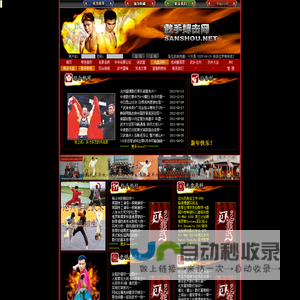中国散手武术散打搏击网站