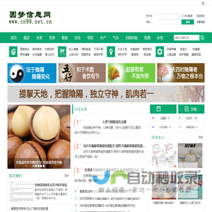 圆梦信息网