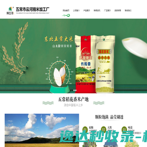 东北东部区域合作网