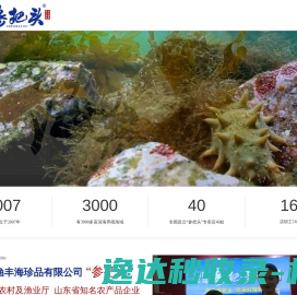 吉粮资产