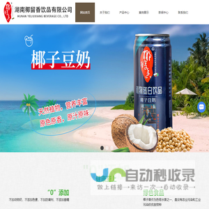 椰子汁厂家