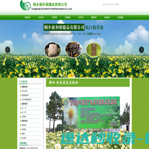 杭白菊