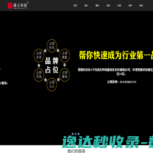 SEO·品牌推广·网络营销策划·王通