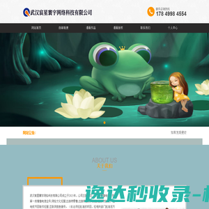 武汉宸星寰宇网络科技有限公司