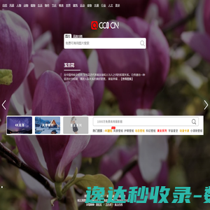 cc0图片网（cc0.cn）