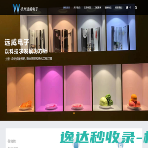 杭州远威电子有限公司