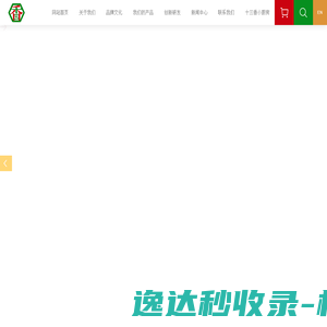 网站首页