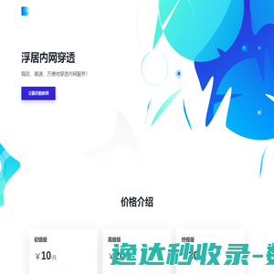 浮居内网穿透