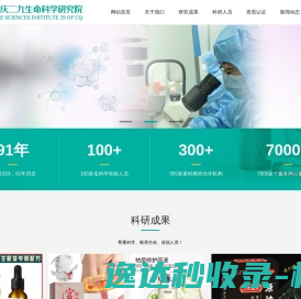 简单网络