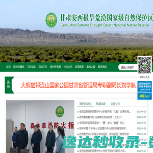 全过程有限公司