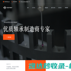 网站截图