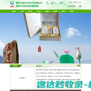 第三方检测机构