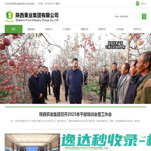 新锦成