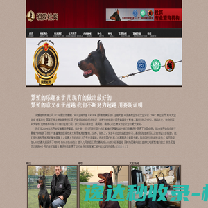 河南专升本考试网