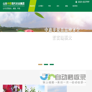 山东中惠现代农业集团