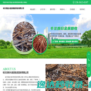 网站截图