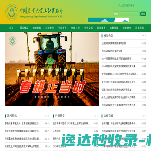 免费生辰八字算命,八字排盘,算卦