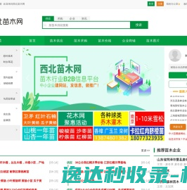 西北苗木网