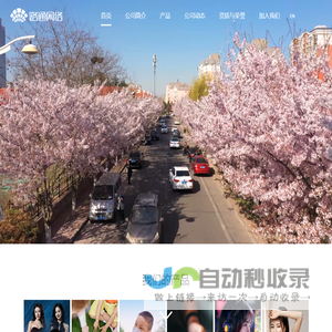 路通网络
